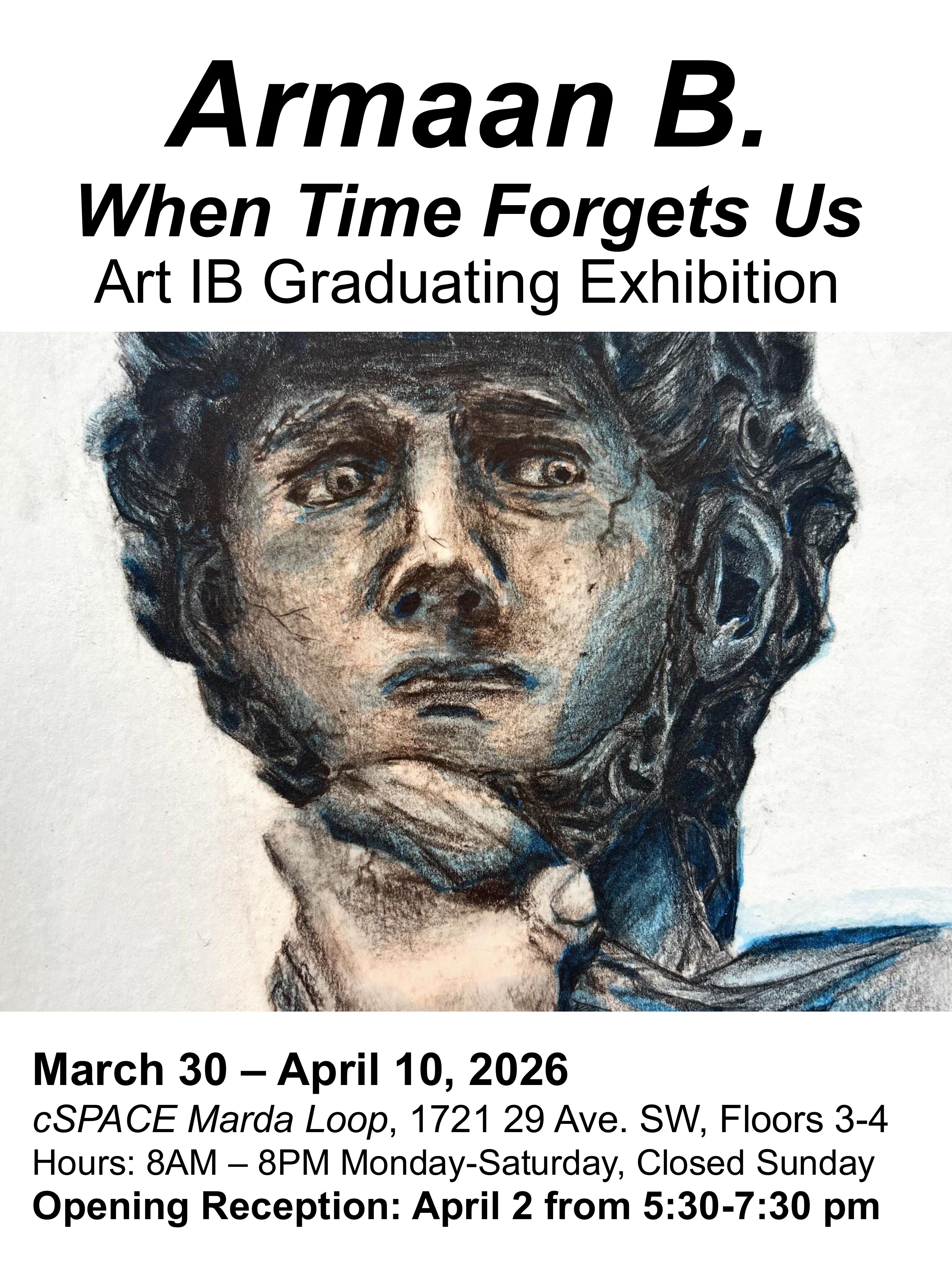 ART IB Posters group 2026 images 1