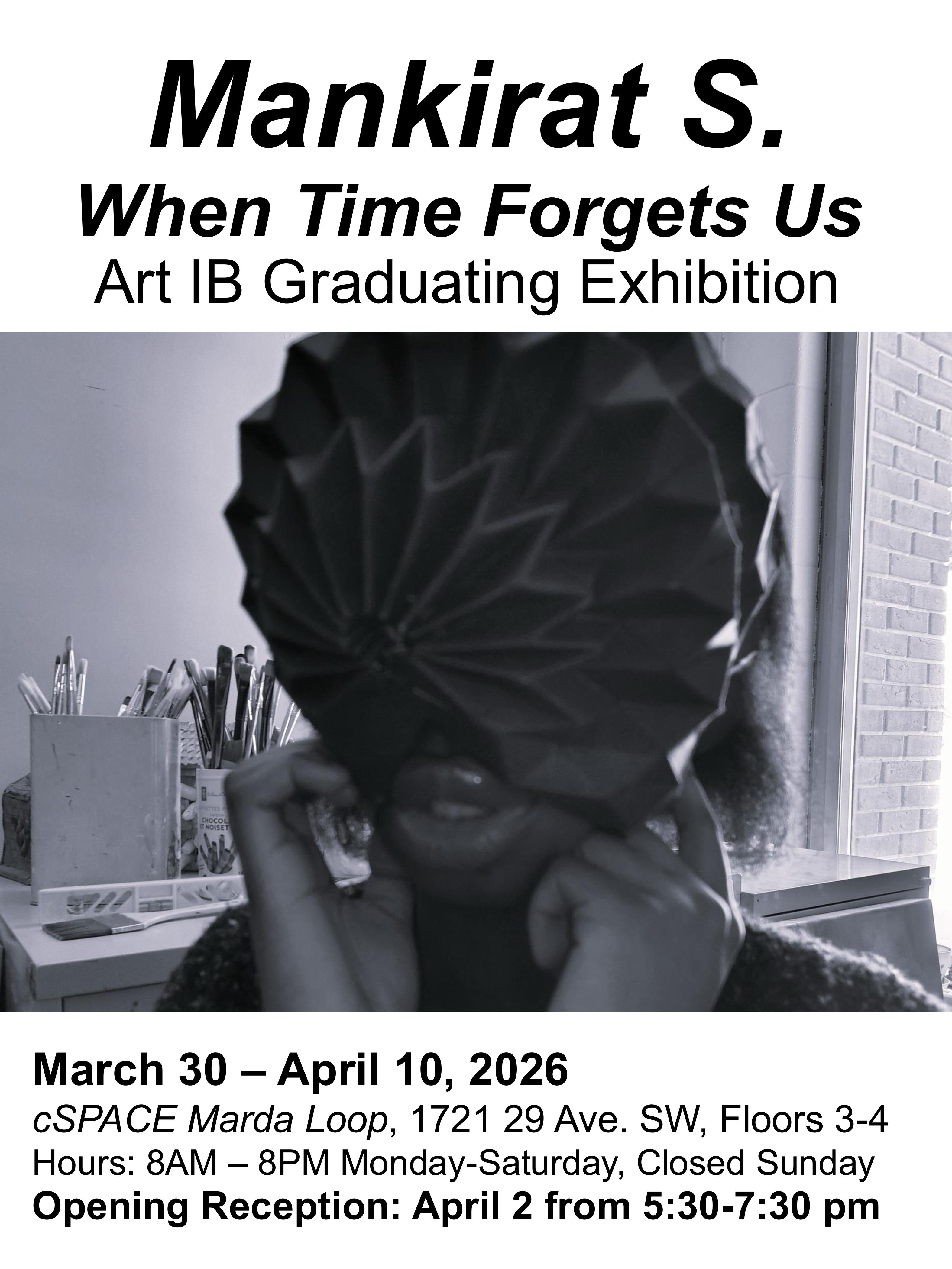 ART IB Posters group 2026 images 13