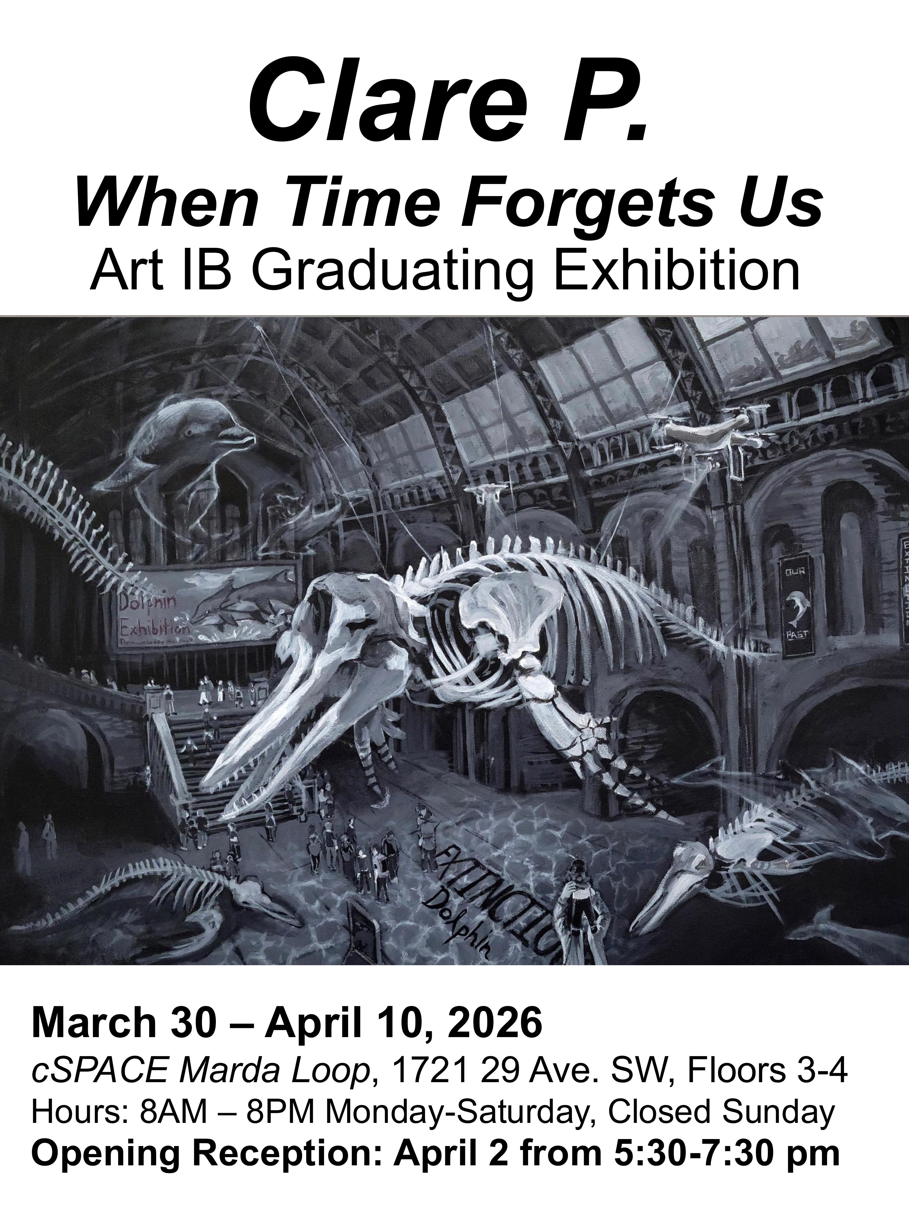 ART IB Posters group 2026 images 12